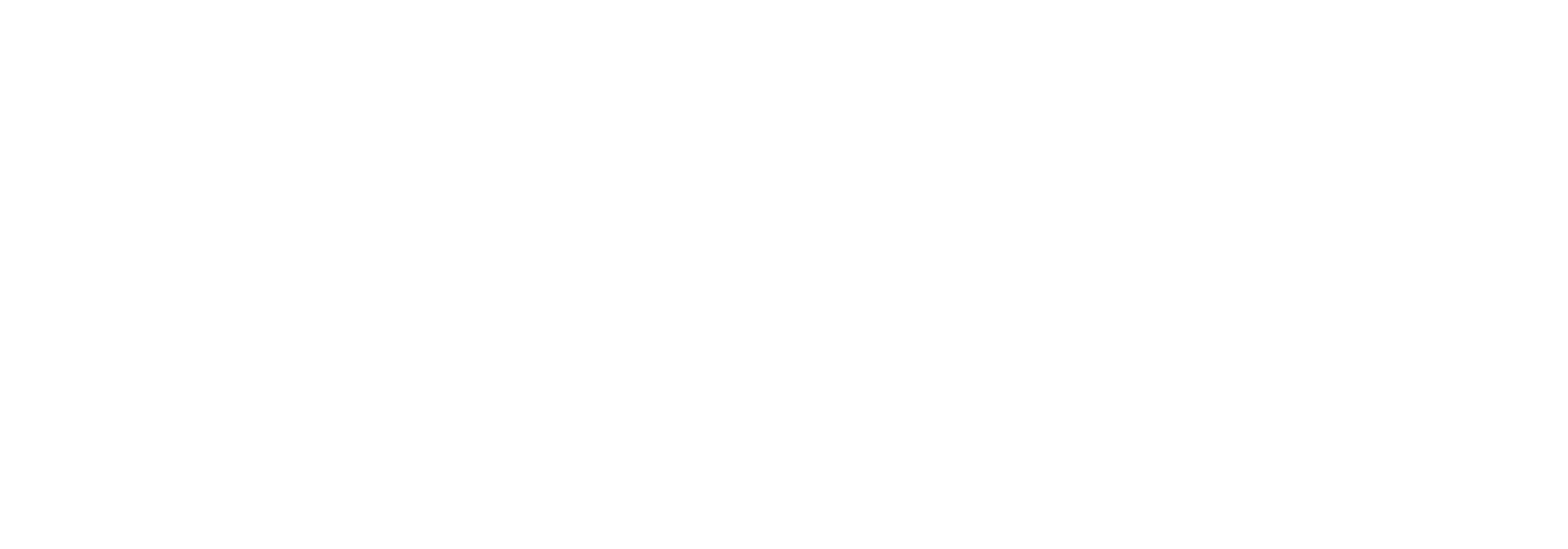 Vivid Concepts