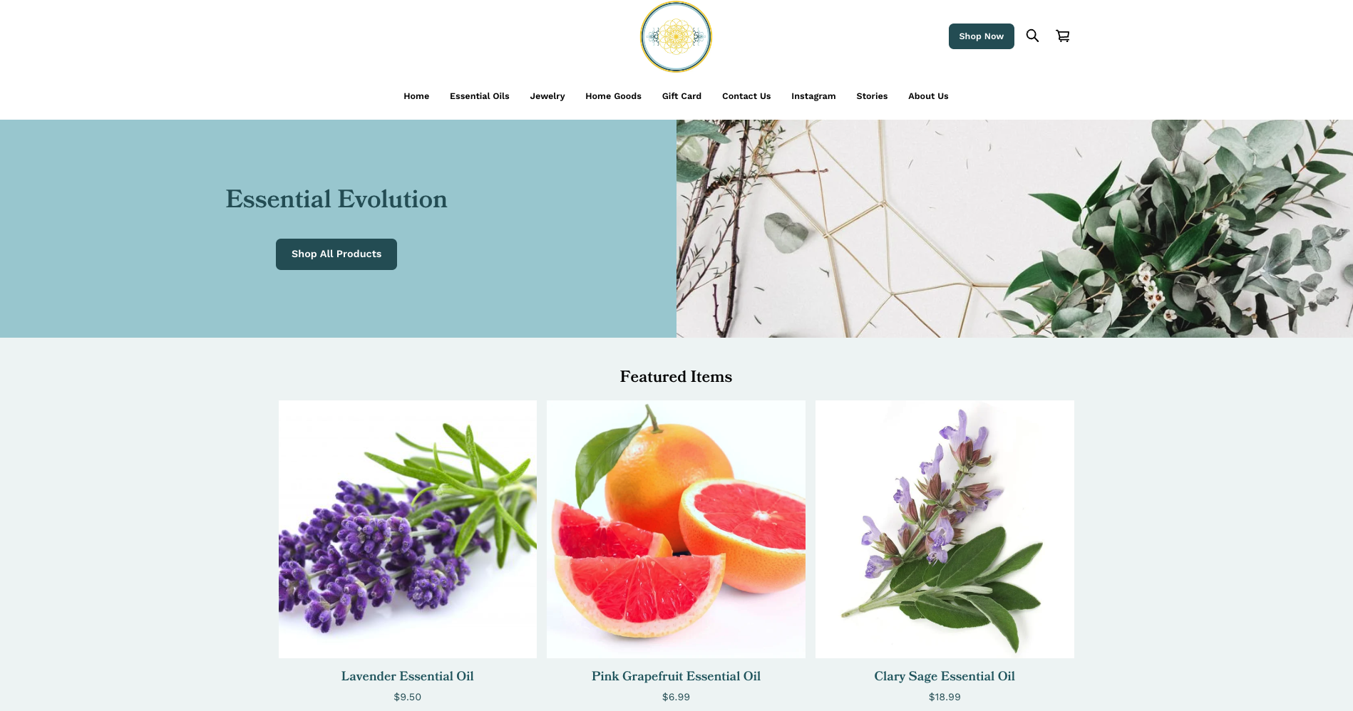 Essential Evolution wellness studio website featuring class schedules and instructor profiles